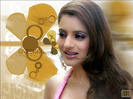 Amisha_Patel_111[1]