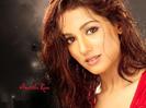 amrita-rao-wallpaper[1]