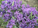 DSCN0702