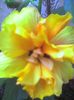 picture009