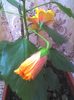 picture011