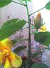 picture021
