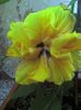 picture022