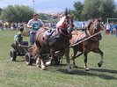 2007-08-25--11-19-04