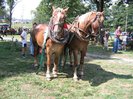 2007-08-25--11-33-09