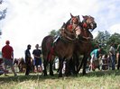 2007-08-25--11-36-00