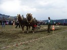 200804111538340.copjak_jakubany