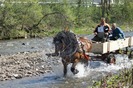 dsc00163_big