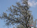 DSC01200
