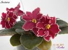 Arcturus 17-04-2011\'\'\'\'
