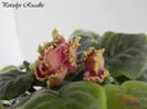 Potselyi Rusalki 17-04-2011\'