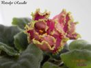 Potselyi Rusalki 17-04-2011\'\'
