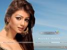 Ayesha-Takia-Wallpaper-001[1]