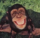 monkey_smile
