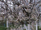DSC02764