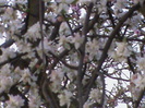 DSC02765