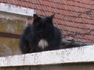 DSC02766
