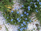 DSC02770