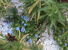 DSC02771