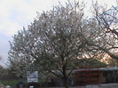 DSC02773