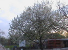 DSC02774
