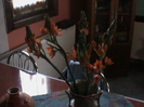 DSC02776