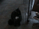 DSC02778
