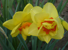 017