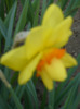 019