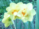 031