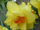 043