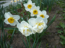 052