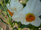 062