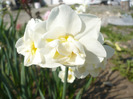 065