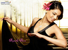 bipasha-basu09[1]