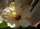 P1060595