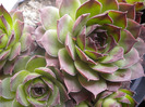 DSCN0752