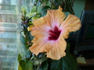20 apr