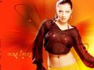 celina-jaitley-wallpaper[1]