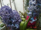 DSC06238