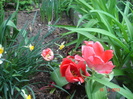 DSC06240