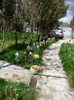 9 - 10 aprilie 2011