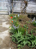 9 - 10 aprilie 2011