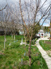 9 - 10 aprilie 2011
