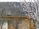 9-10 aprilie 2011