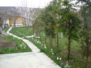 9-10 aprilie 2011