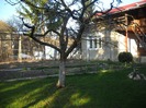 DSCN4711