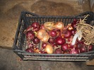 DSCN4732