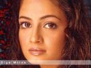 diya-mirza-wallpaper[1]