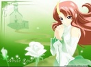 lacus-105990483